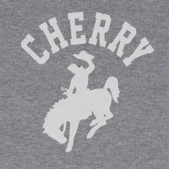 CHERRY Western Ringer Baby Tee (Heather Grey/White) Womens