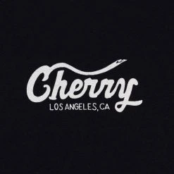 CHERRY Auto Paint T-Shirt (Faded Black)