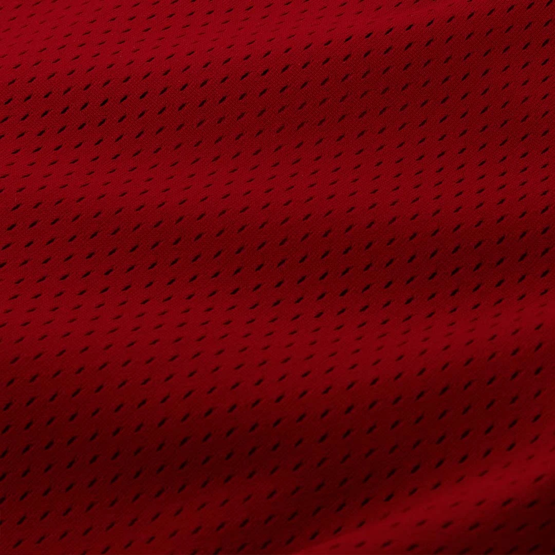 CHERRY Mesh B-Ball Shorts (Red) CHERRY Mesh B-Ball Shorts (Red)